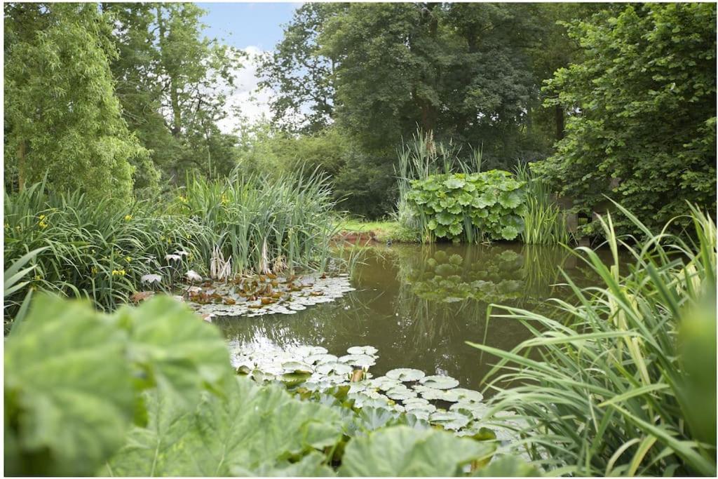 Ebony Cottage Tenbury Bagian luar foto