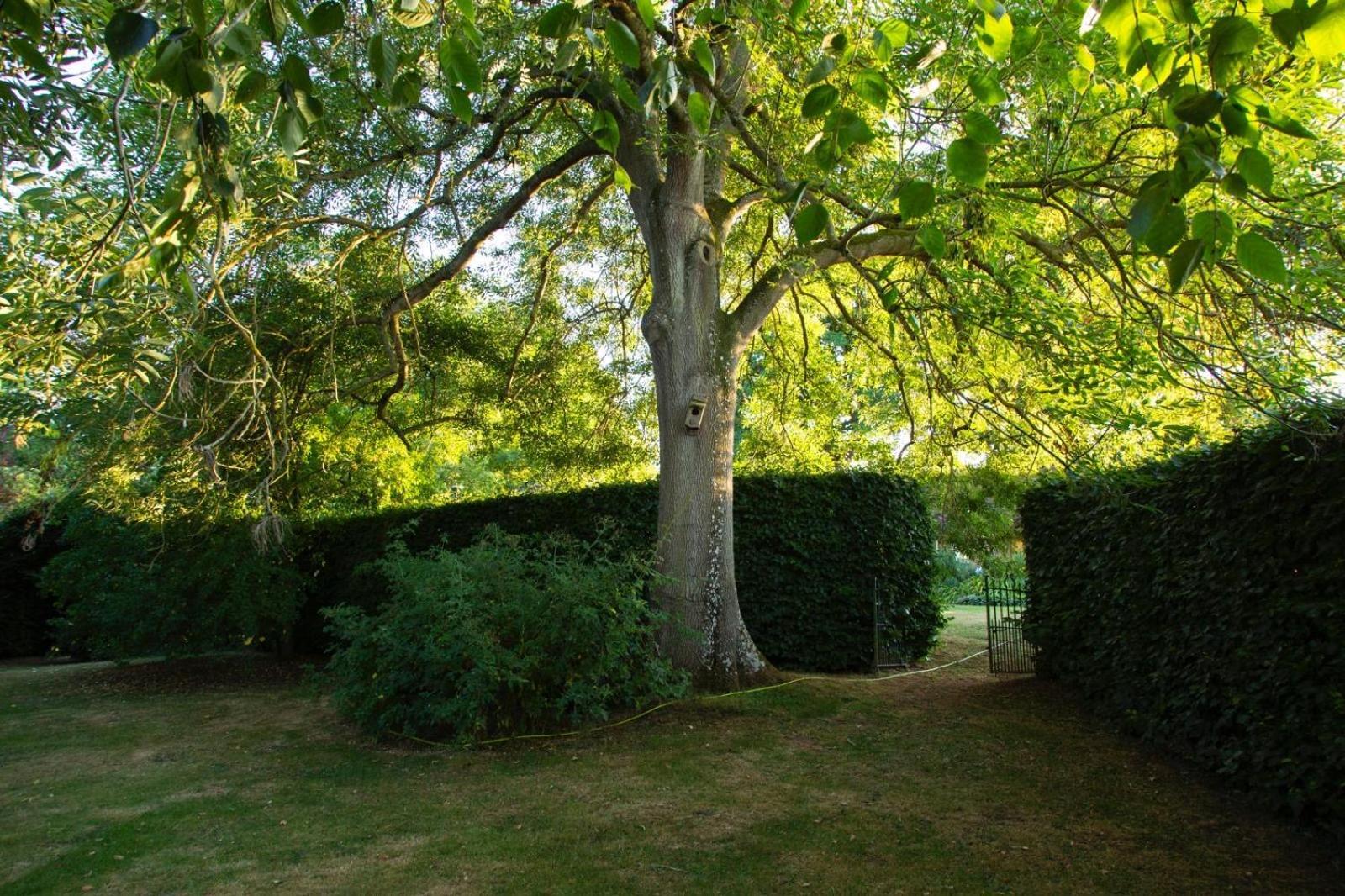Ebony Cottage Tenbury Bagian luar foto