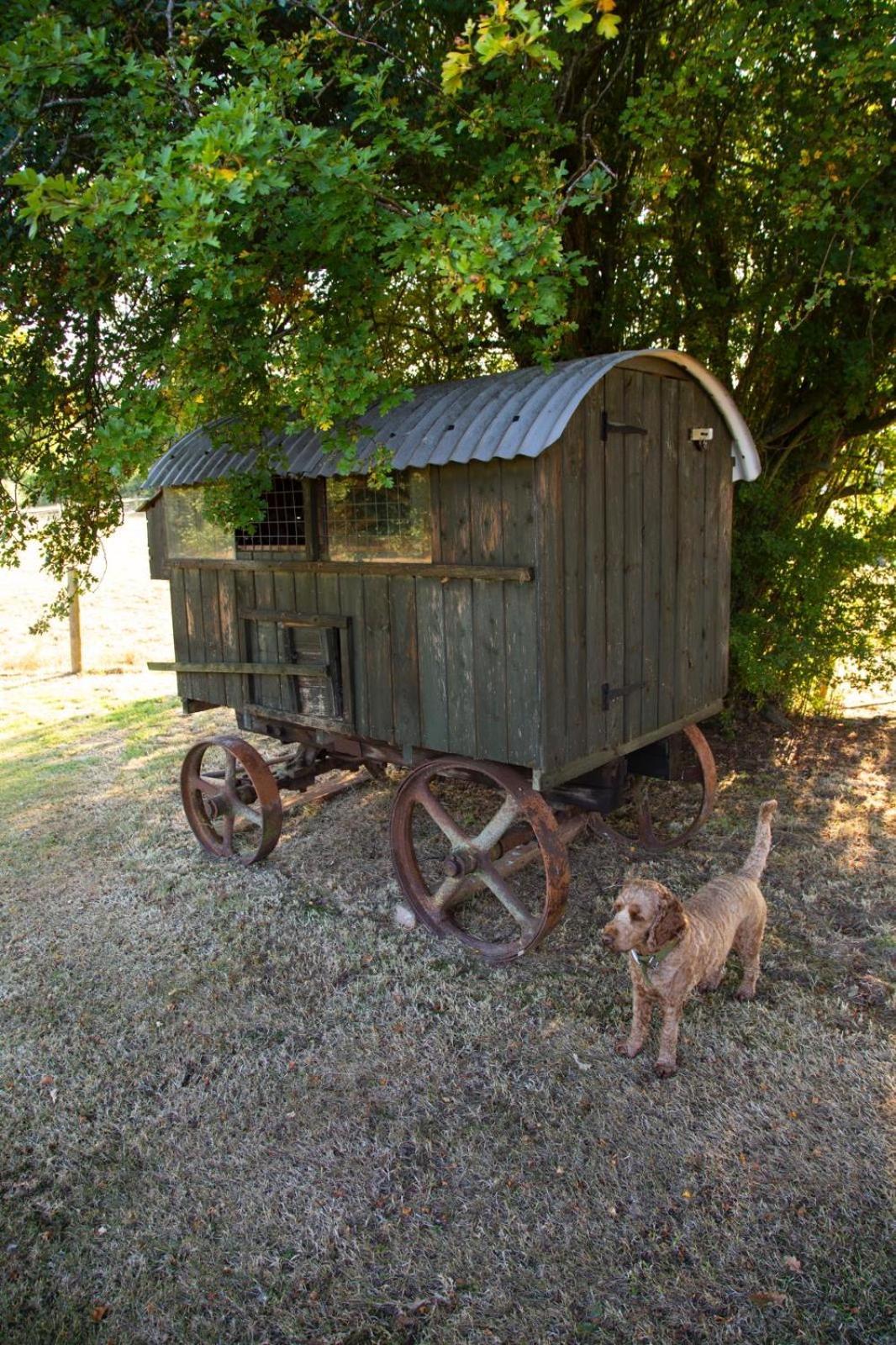 Ebony Cottage Tenbury Bagian luar foto