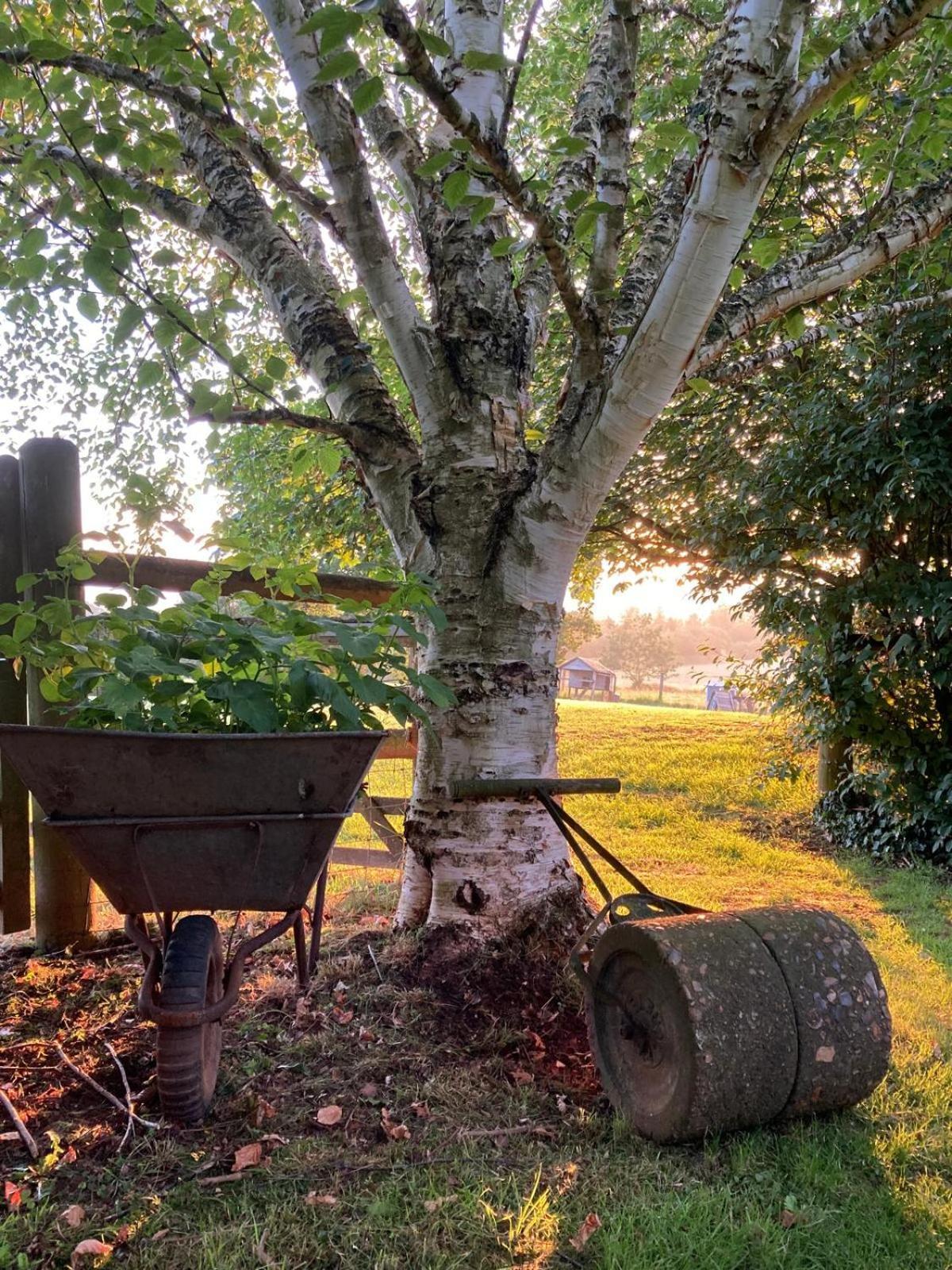 Ebony Cottage Tenbury Bagian luar foto