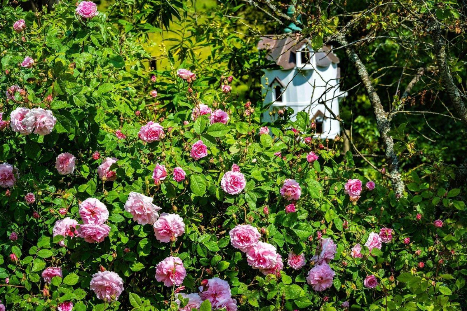 Ebony Cottage Tenbury Bagian luar foto