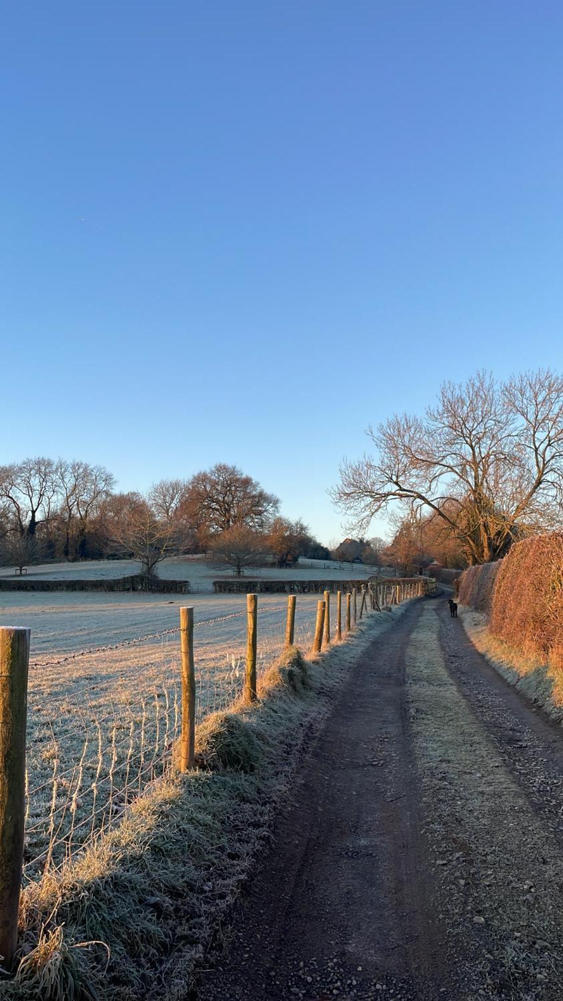 Ebony Cottage Tenbury Bagian luar foto
